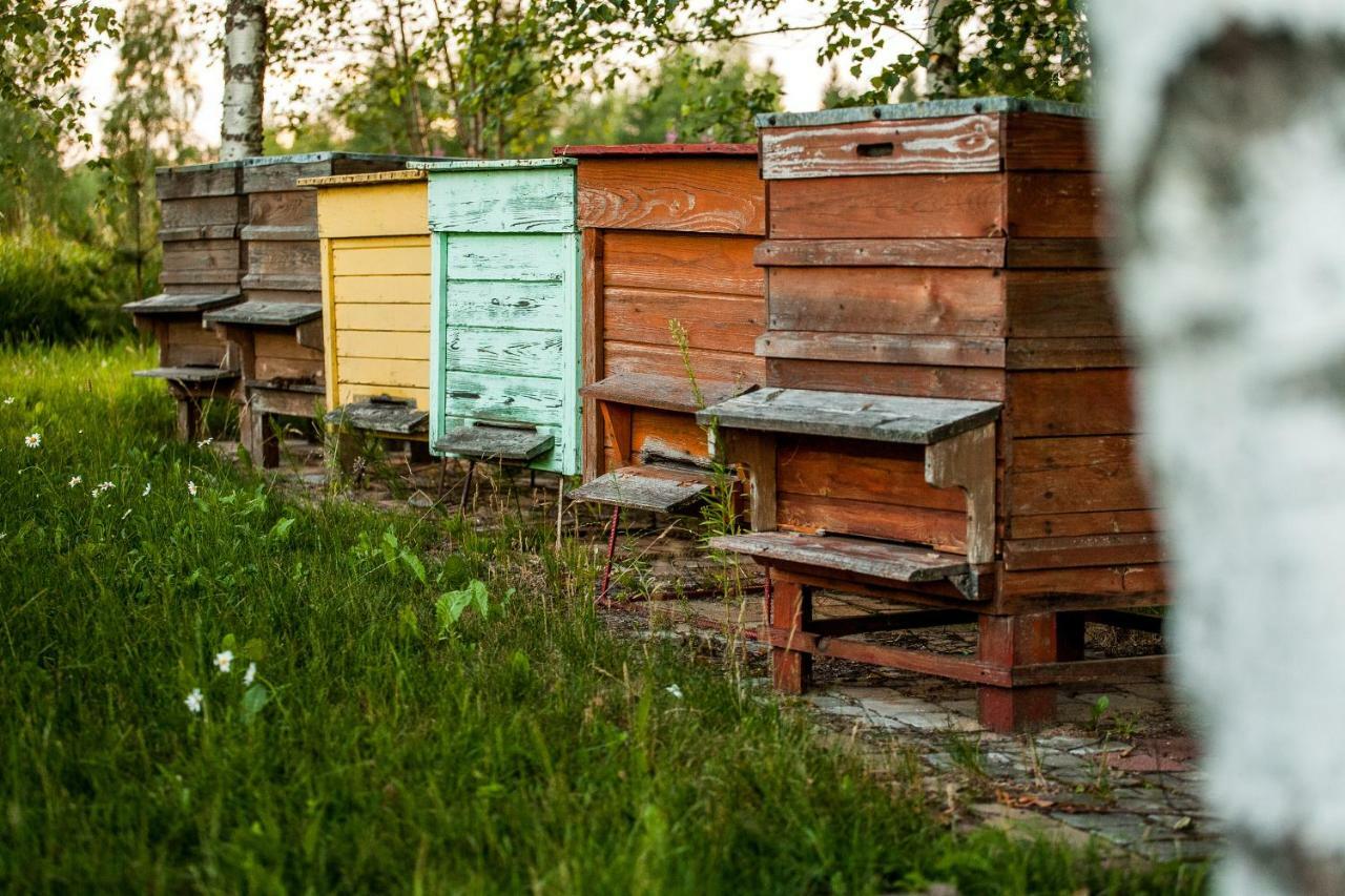 Отель Laimnieki Augsciems Экстерьер фото