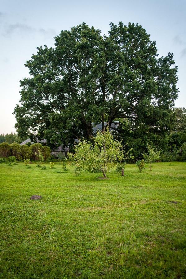 Отель Laimnieki Augsciems Экстерьер фото